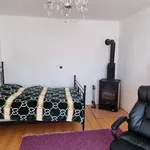 Rent 1 bedroom apartment of 32 m² in Prague