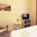 Rent 1 bedroom apartment of 35 m² in milan