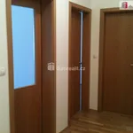 Rent 1 bedroom house in Prague