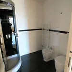 Rent 4 bedroom apartment of 210 m² in Turin