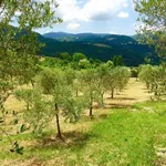 Farmhouse frazione Fogliano 33, Fogliano, Castagnacupa, Montebibico, Strettura, Spoleto