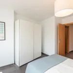 Alquilar 7 dormitorio apartamento en Valencia