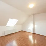 Pronajměte si 1 ložnic/e dům o rozloze 300 m² v Prague