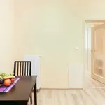 Rent 1 bedroom apartment in Praha 2