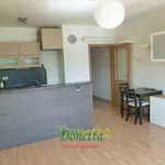 Rent 1 bedroom apartment of 45 m² in Hradec Králové