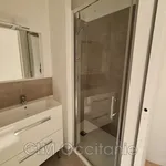 Appartement de 45 m² avec 2 chambre(s) en location à Toulouse