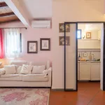 Rent 2 bedroom apartment of 45 m² in Florence