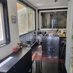 Rent 6 bedroom apartment of 200 m² in Napoli