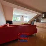 Rent 2 bedroom apartment of 69 m² in České Budějovice