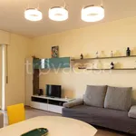 Rent 2 bedroom apartment of 75 m² in Milano