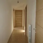 Rent 1 bedroom apartment of 100 m² in Potenza