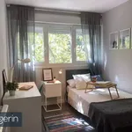 Rent 4 bedroom apartment in Madrid