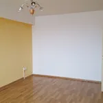 Rent 1 bedroom apartment in Pardubice