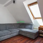 Rent 2 bedroom apartment of 50 m² in Wrocław