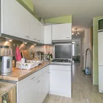 Huur 3 slaapkamer appartement van 78 m² in Den Haag