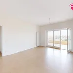 Rent 3 bedroom apartment of 90 m² in Roma