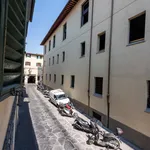 Rent 1 bedroom apartment in Florence