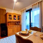 Rent 1 bedroom apartment of 35 m² in Aprica