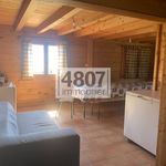 Rent 1 bedroom house of 98 m² in Thyez