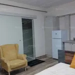 Rent 1 bedroom apartment of 35 m² in Szolnok