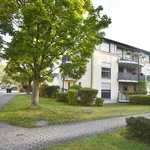 Rent 2 bedroom apartment of 64 m² in Chemnitz