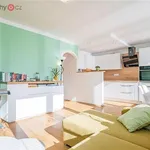 Rent 2 bedroom apartment of 42 m² in Praha 8