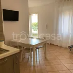 Rent 3 bedroom apartment of 80 m² in Riccione