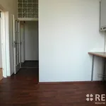 Rent 1 bedroom apartment of 33 m² in Brno