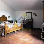 Rent 5 bedroom house of 200 m² in Cremona