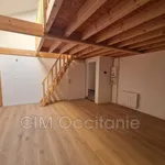 Rent 2 bedroom apartment of 44 m² in Toulouse