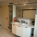 Rent 3 bedroom house in Dendermonde