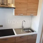 Rent 1 bedroom apartment of 30 m² in Milano