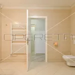 Rent 4 bedroom apartment of 218 m² in Zagreb