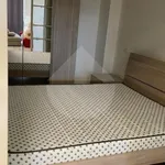 Rent 2 bedroom apartment of 50 m² in Perugia