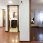 Rent a room of 250 m² in Madrid