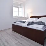 Pronajměte si 2 ložnic/e byt o rozloze 45 m² v Brno