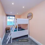 Rent 3 bedroom apartment in Brighton