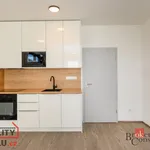 Rent 1 bedroom apartment in Pilsen