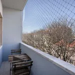 Rent 2 bedroom apartment of 63 m² in lisbon