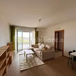 Rent 4 bedroom apartment of 100 m² in Modena