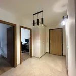 Rent 3 bedroom apartment of 60 m² in Wrocław