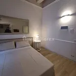 Rent 1 bedroom apartment of 25 m² in Florence