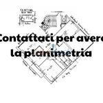 Rent 2 bedroom house of 100 m² in pietrasanta