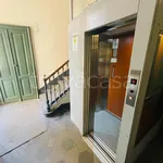 Rent 1 bedroom apartment of 20 m² in Torino