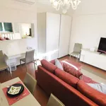 Rent 1 bedroom apartment in bologna