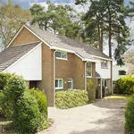 Rent 4 bedroom house in Woking