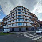 Rent 2 bedroom apartment in Plzeň