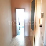 Rent 3 bedroom apartment of 98 m² in Torino