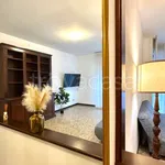 Rent 3 bedroom apartment of 100 m² in Bergamo