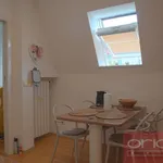 Rent 1 bedroom apartment in Capital City of Prague